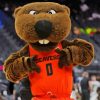 Oregon State Beavers Paint By Numbers