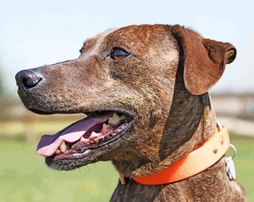 Plott Hound Side Profile Paint By Numbers