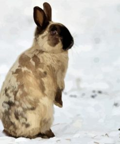 Rabbit In Snow Paint By Numbers