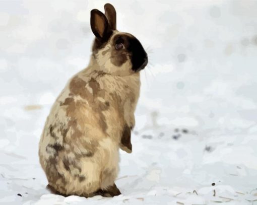 Rabbit In Snow Paint By Numbers