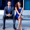 Rachel Zane Paint By Numbers