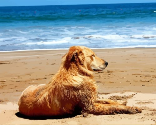 Relaxing Dog In The Beach Paint By Numbers