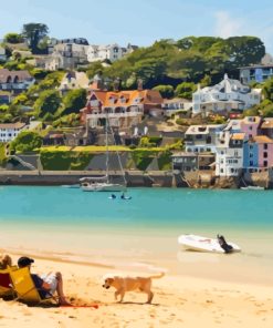 Salcombe Town In England Paint By Numbers