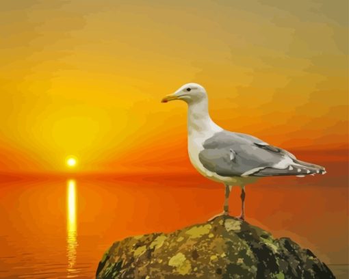 Seagull Bird And The Sun Paint By Numbers