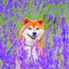 Shiba In Purple Flowers Field Paint By Numbers