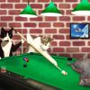 Snooker Cats Paint By Numbers