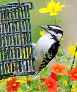 Spring Garden Downy Woodpecker Bird Paint By Numbers