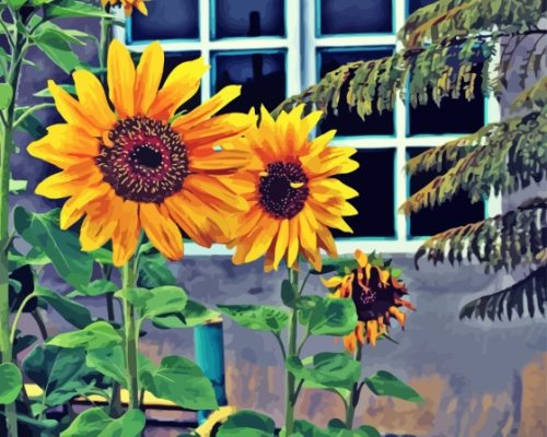 Sunflower By The Window Paint By Numbers