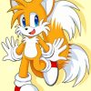 Tails Sonic The Hedgehog Character Paint By Numbers