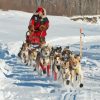 The Iditarod Alaska Race Paint By Numbers