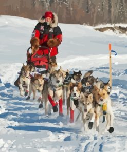 The Iditarod Alaska Race Paint By Numbers