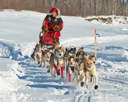 The Iditarod Alaska Race Paint By Numbers