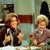 The Mary Tyler Moore Show Paint By Numbers