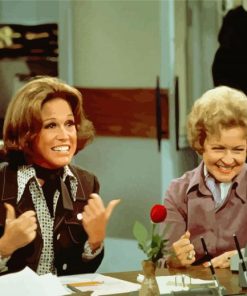 The Mary Tyler Moore Show Paint By Numbers