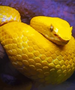 The Yellow Snake Viper Paint By Numbers