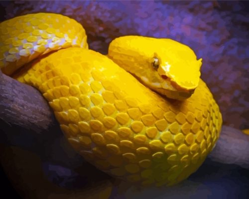 The Yellow Snake Viper Paint By Numbers