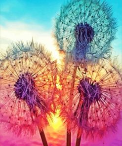 Three Dandelions Sunset Paint By Numbers