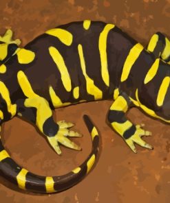 Tiger Salamander Paint By Numbers