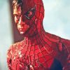 Tobey Maguire Spider Man Superhero Paint By Numbers