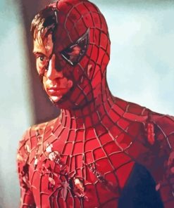 Tobey Maguire Spider Man Superhero Paint By Numbers