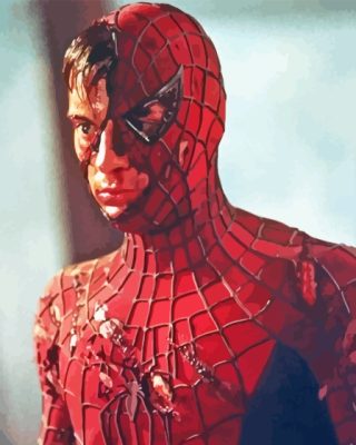 Tobey Maguire Spider Man Superhero Paint By Numbers