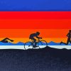 Triathlons Poster Art Paint By Numbers