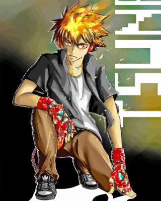 Tsunayoshi Sawada Reborn Anime Paint By Numbers