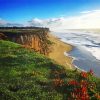 View Of The Coastal Cliffs In Half Moon Bay Paint By Numbers