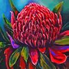 Waratah (2) Paint By Numbers