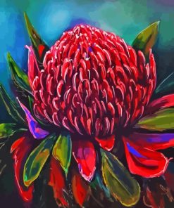 Waratah (2) Paint By Numbers