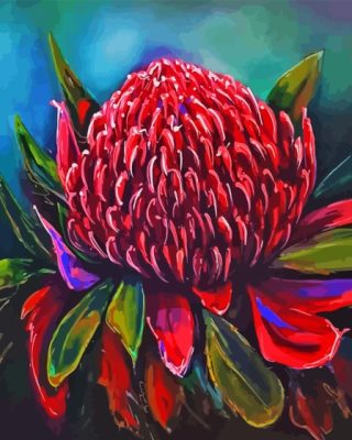 Waratah (2) Paint By Numbers