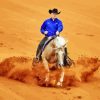 Western Horse Reining Paint By Numbers