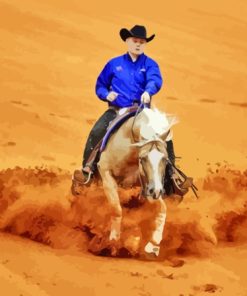 Western Horse Reining Paint By Numbers