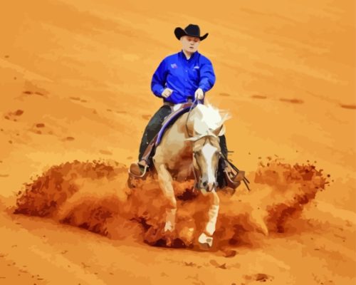 Western Horse Reining Paint By Numbers