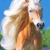 Wild Haflinger Horse Paint By Numbers