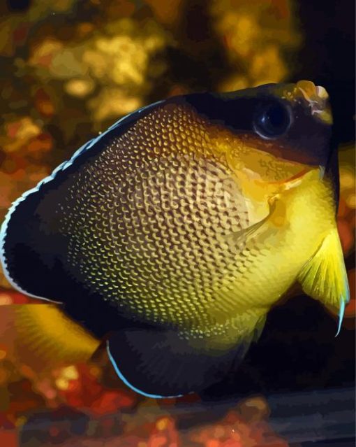 Xanthurus Cream Angelfish Paint By Numbers