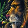 Aesthetic Lion Smoking Paint By Numbers