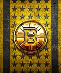 American Hockey Team Boston Bruins Logo Paint By Numbers