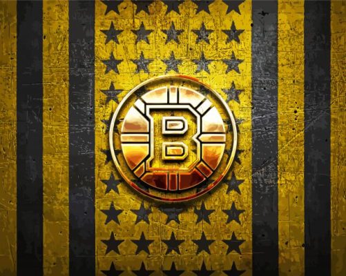 American Hockey Team Boston Bruins Logo Paint By Numbers