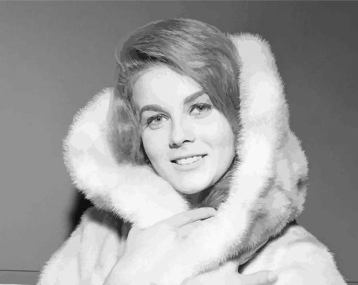 Ann Margaret American Actress Paint By Numbers