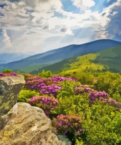 Appalachian Trail Mountains Paint By Numbers