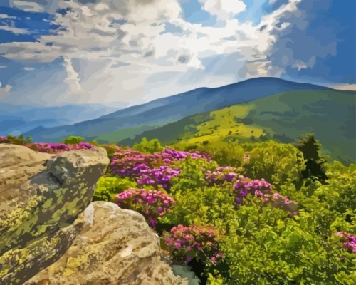 Appalachian Trail Mountains Paint By Numbers