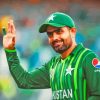 Babar Azam Paint By Numbers