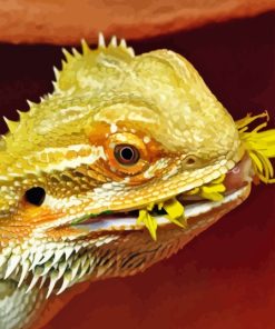 Bearded Dragon Eating Flower Paint By Numbers