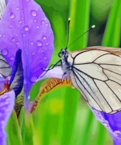 Beautiful Irises With Butterflies Paint By Numbers