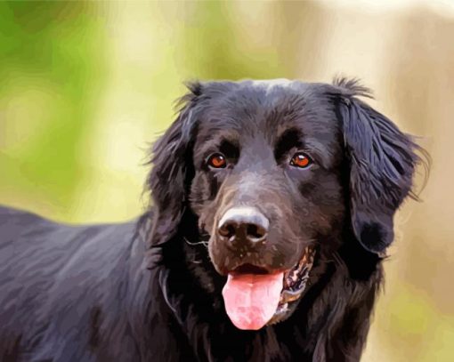 Black Golden Retriever Dog Paint By Numbers