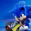 Cool Sonic The Hegehog Paint By Numbers