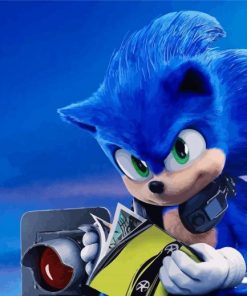 Cool Sonic The Hegehog Paint By Numbers