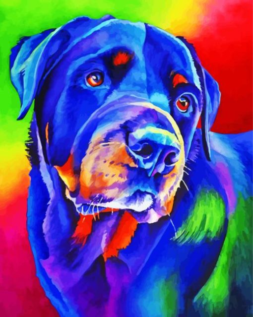 Cute Rottweiler Paint By Numbers