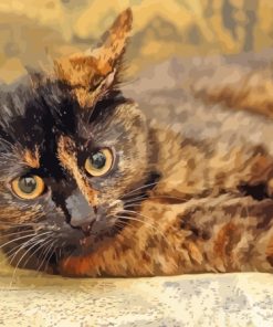 Cute Tortoiseshell Cat Paint By Numbers